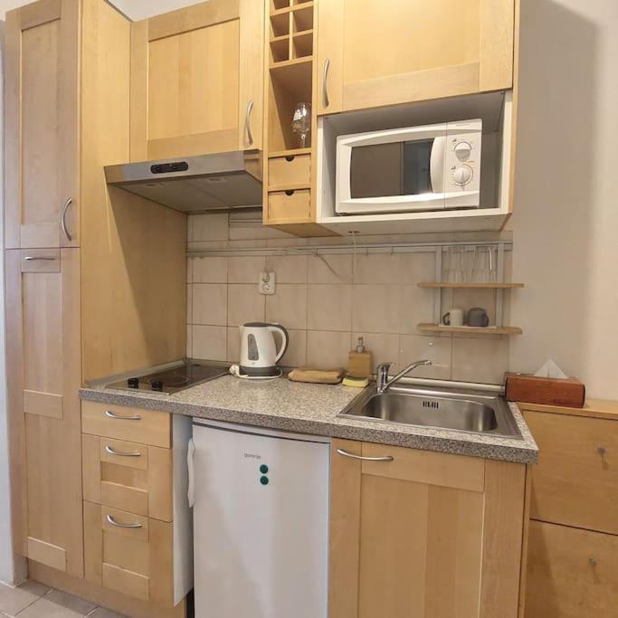 Centrum Studio Apartment With The Self-Check-In 布拉迪斯拉发 外观 照片